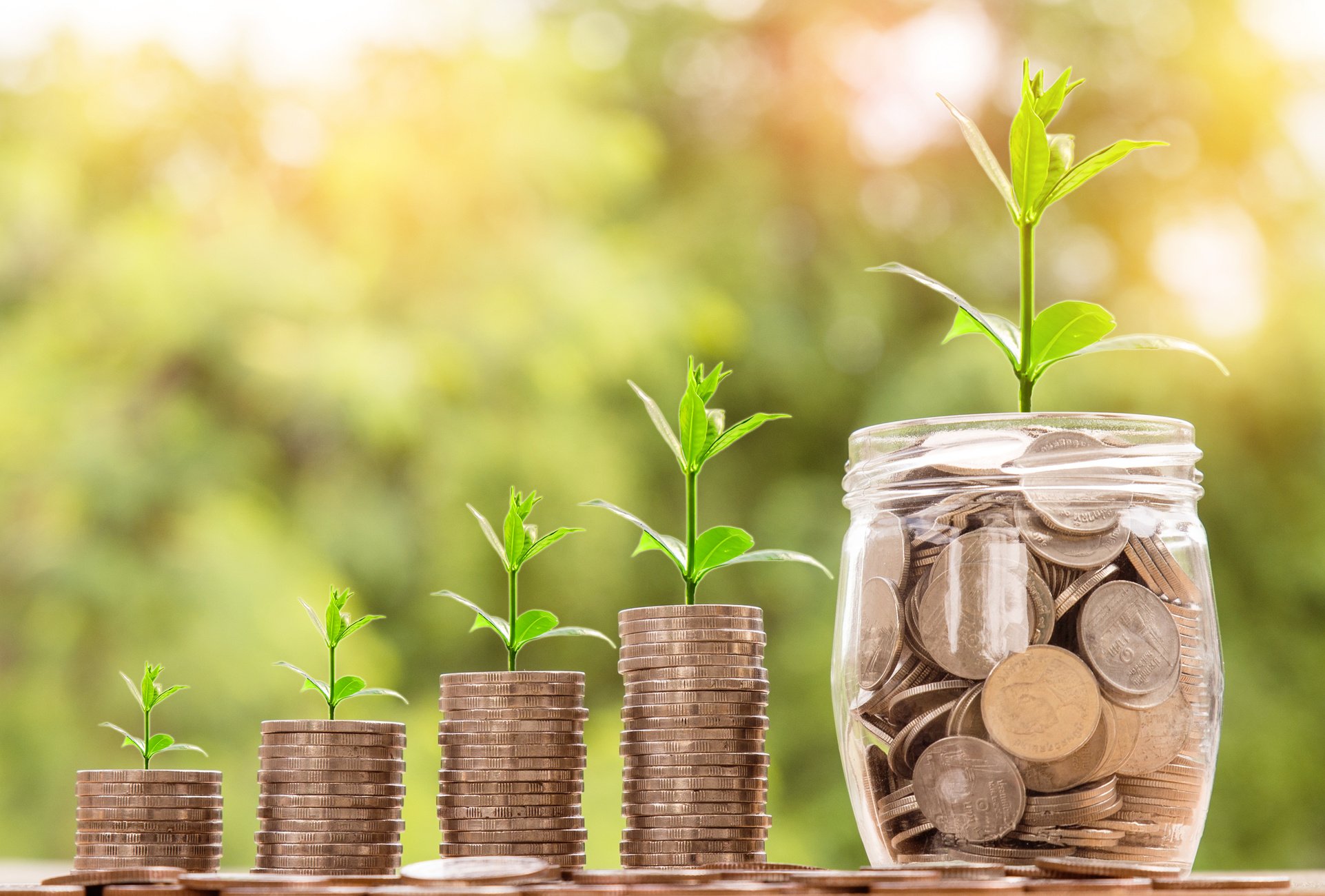 Money Business success growing concept,Trees on pile of coins money with jar over sun flare silhouette tone.